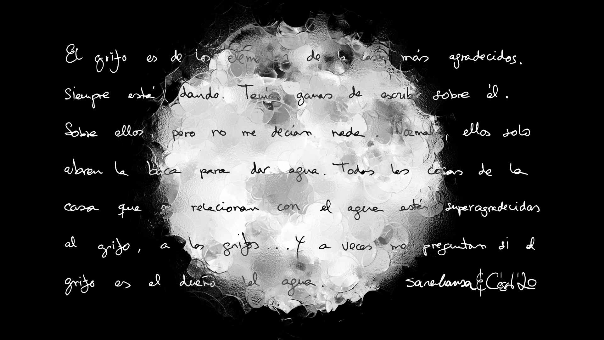 El Grifo De La Vida