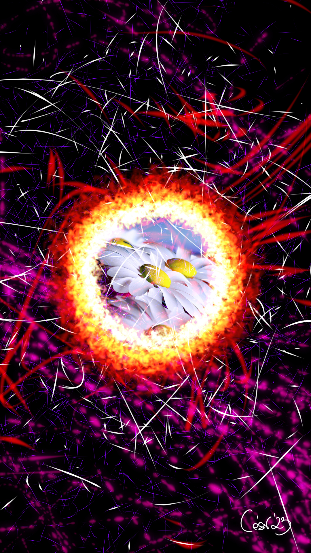 Holy Flowers