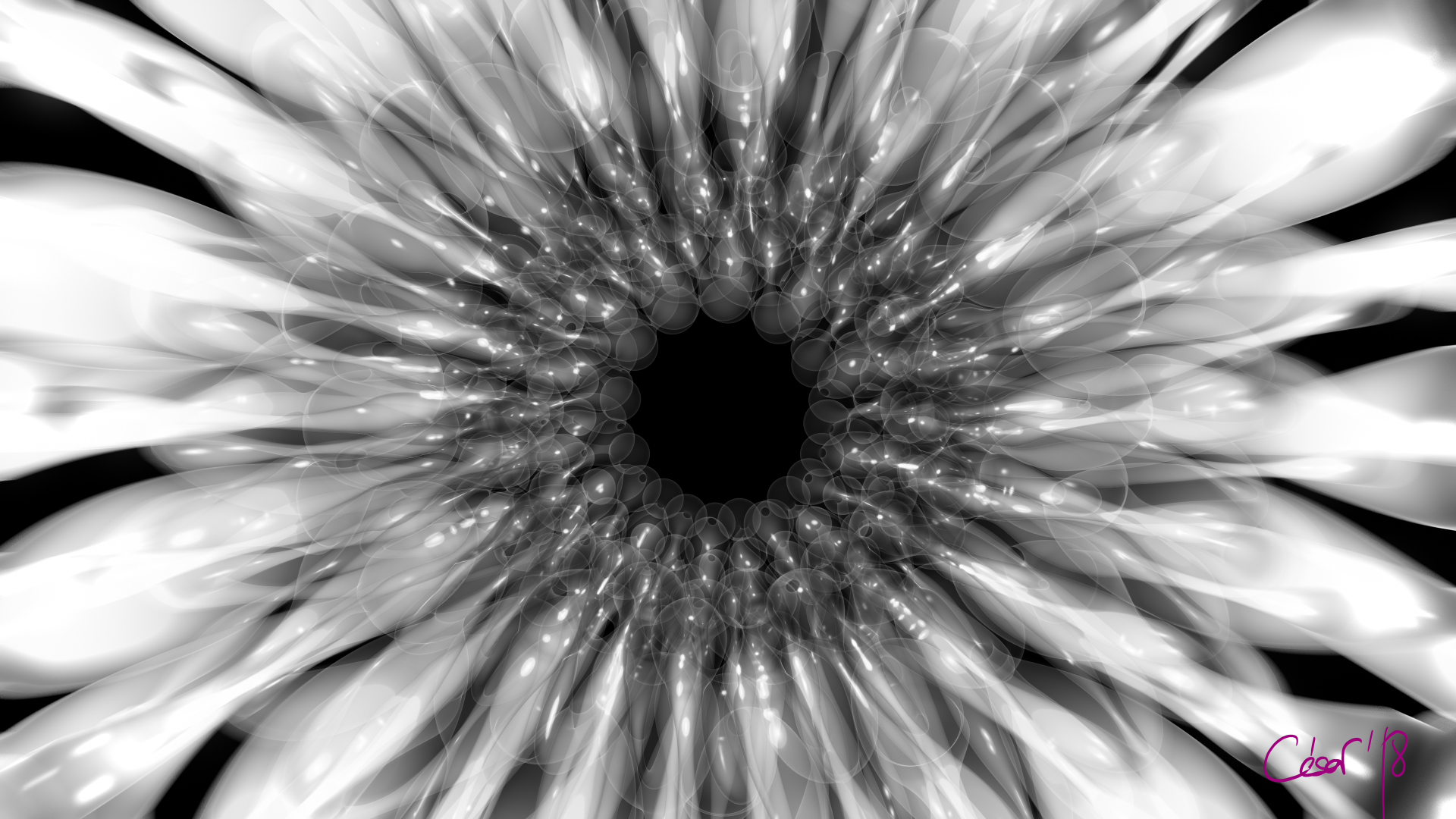 La Flor Del Amor, moving artwork by César Yagüe, from the Bonita Ola collection